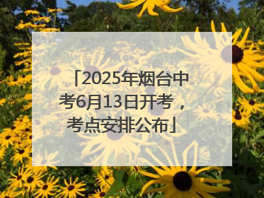 2025年烟台中考6月13日开考，考点安排公布
