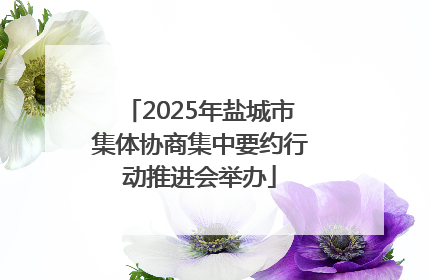 2025年盐城市集体协商集中要约行动推进会举办