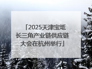 2025天津宝坻长三角产业链供应链大会在杭州举行