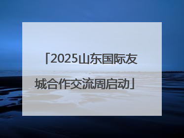 2025山东国际友城合作交流周启动