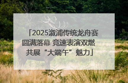 2025溆浦传统龙舟赛圆满落幕 竞速表演双燃 共展“大端午”魅力
