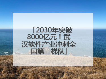 2030年突破8000亿元！武汉软件产业冲刺全国第一梯队
