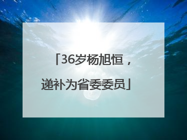 36岁杨旭恒，递补为省委委员