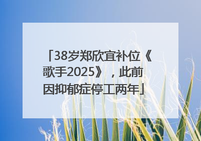 38岁郑欣宜补位《歌手2025》，此前因抑郁症停工两年