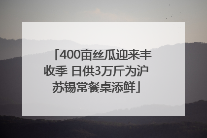 400亩丝瓜迎来丰收季 日供3万斤为沪苏锡常餐桌添鲜