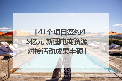 41个项目签约4.5亿元 新疆电商资源对接活动成果丰硕