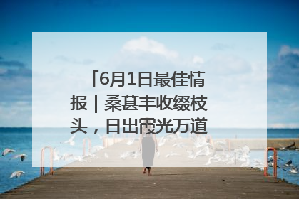 6月1日最佳情报｜桑葚丰收缀枝头，日出霞光万道蓬勃壮观！恭喜