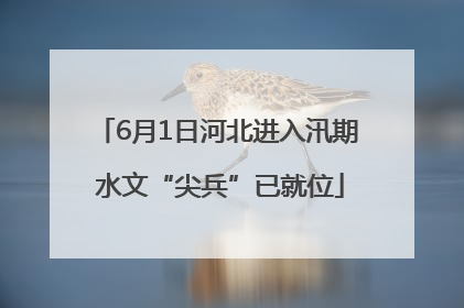 6月1日河北进入汛期 水文“尖兵”已就位
