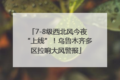 7-8级西北风今夜“上线”！乌鲁木齐多区拉响大风警报