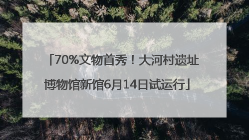 70%文物首秀！大河村遗址博物馆新馆6月14日试运行