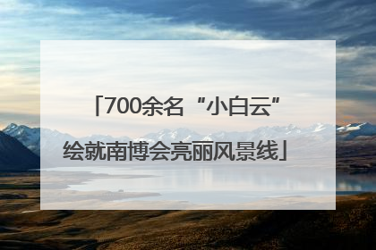 700余名“小白云”绘就南博会亮丽风景线