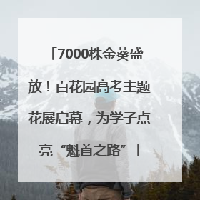 7000株金葵盛放！百花园高考主题花展启幕，为学子点亮“魁首之路”