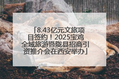 8.43亿元文旅项目签约！2025宝鸡全域旅游暨陇县招商引资推介会在西安举办