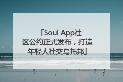 Soul App社区公约正式发布，打造年轻人社交乌托邦